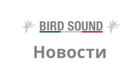 Новости